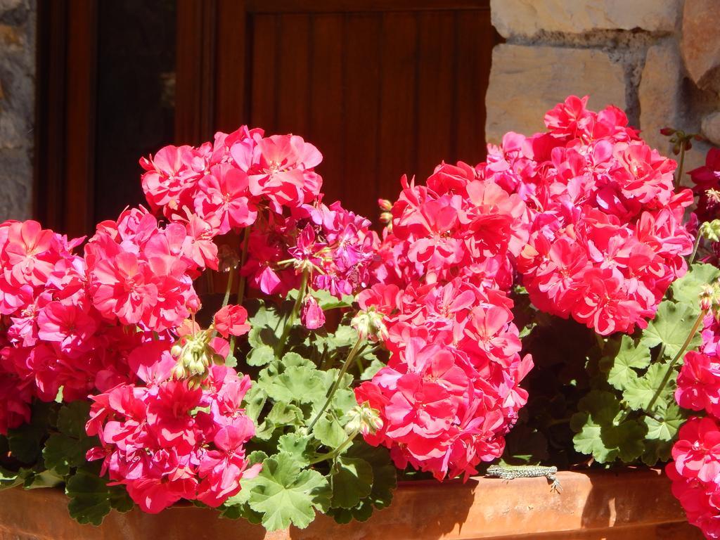 I Lecci Bed & Breakfast Lerici Bagian luar foto