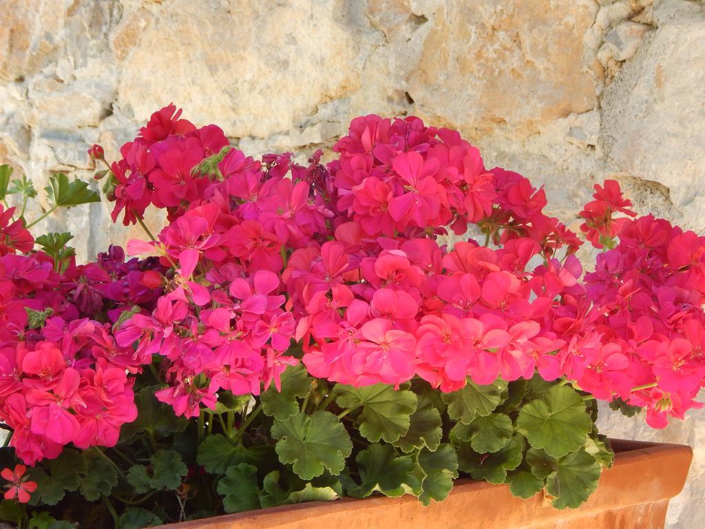 I Lecci Bed & Breakfast Lerici Bagian luar foto