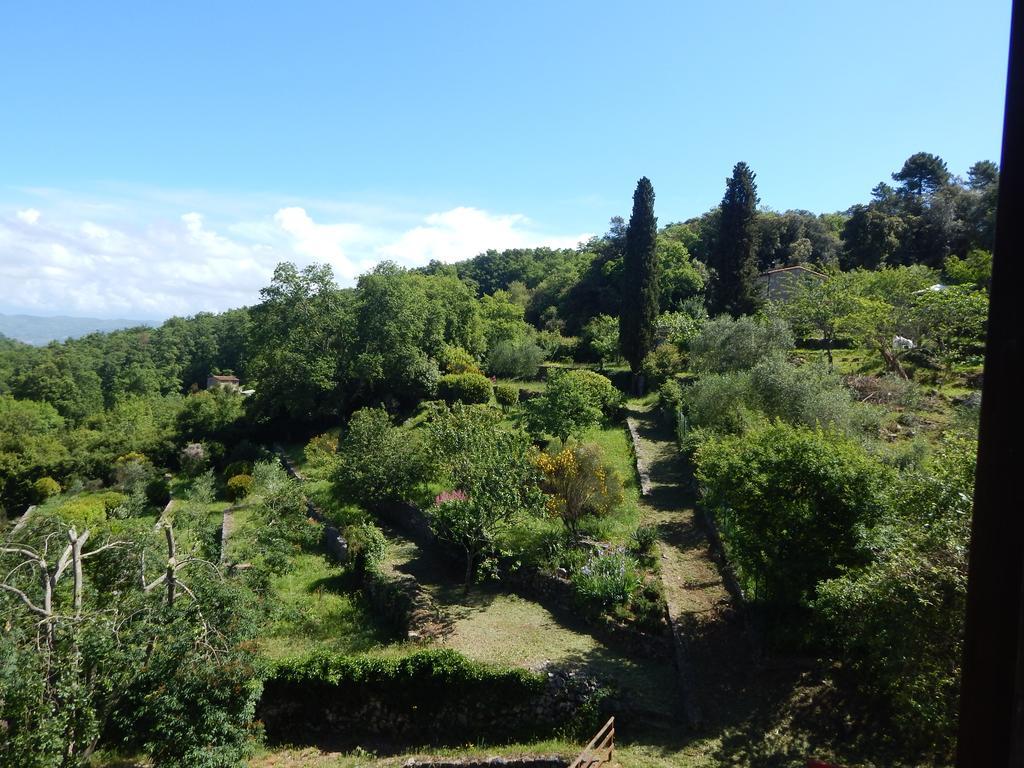 I Lecci Bed & Breakfast Lerici Bagian luar foto