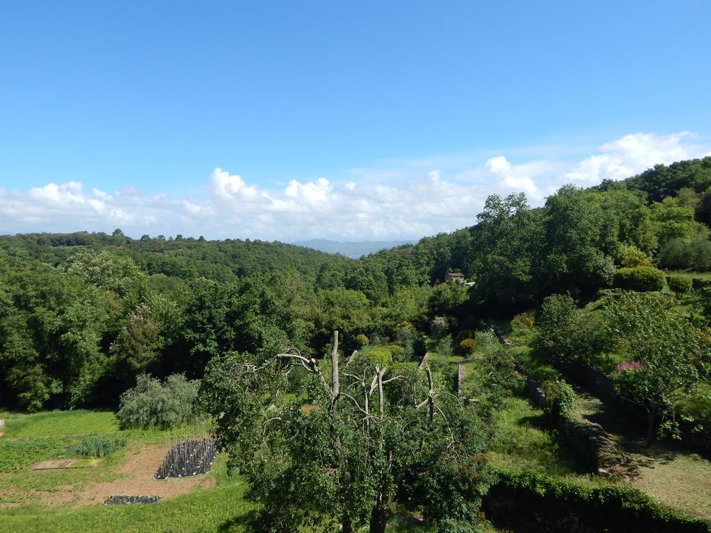 I Lecci Bed & Breakfast Lerici Bagian luar foto