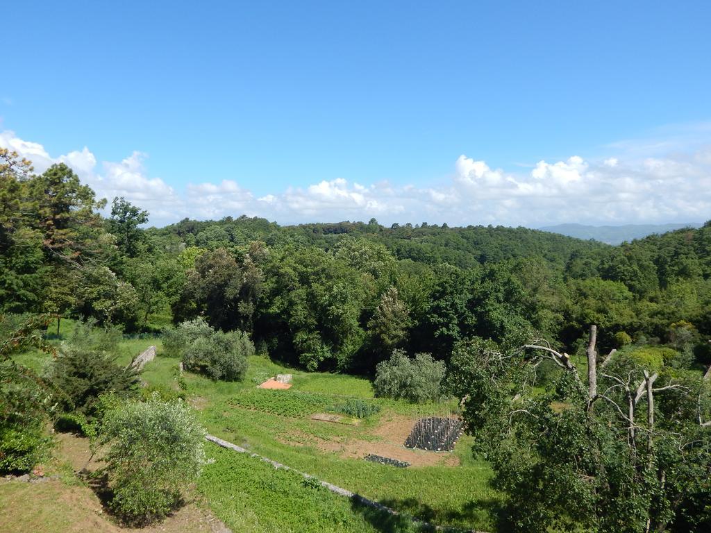 I Lecci Bed & Breakfast Lerici Bagian luar foto
