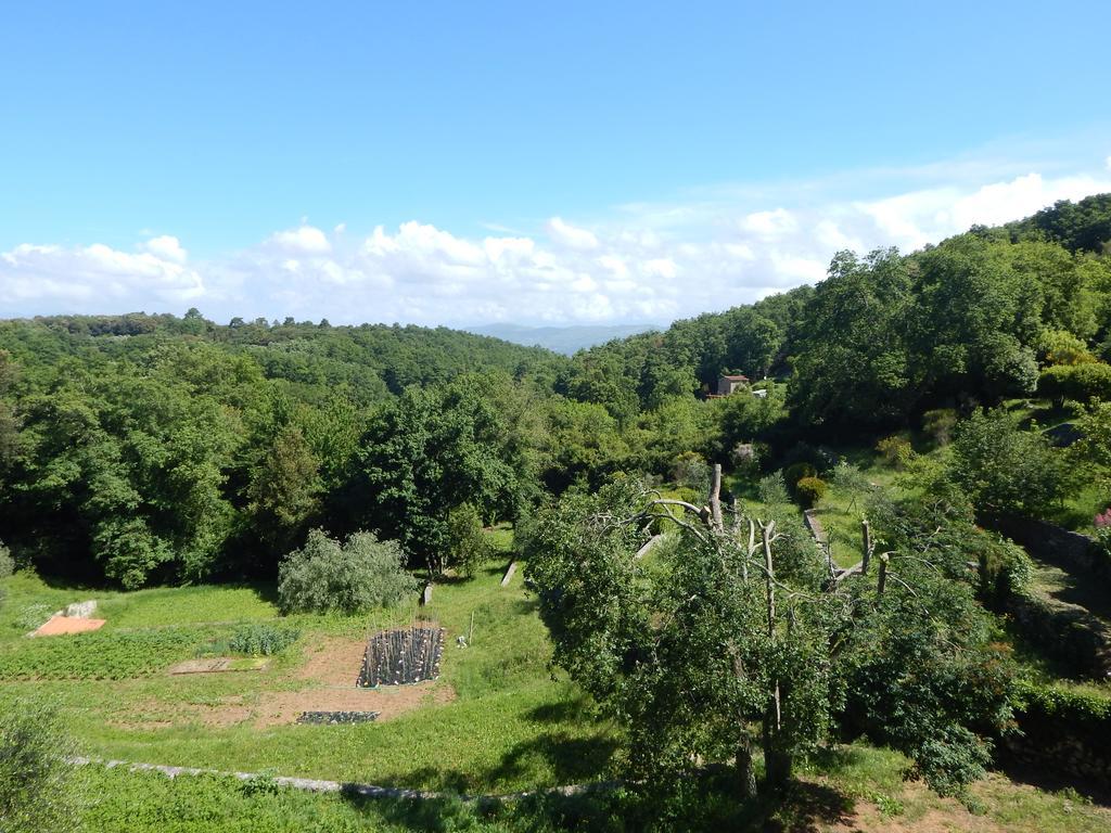 I Lecci Bed & Breakfast Lerici Bagian luar foto